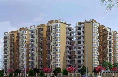 Nirmaan Gulmohar Trends Dhakoli Zirakpur | 3 BHK Apartments for Sale | Best Real Estate Projects in Zirakpur
