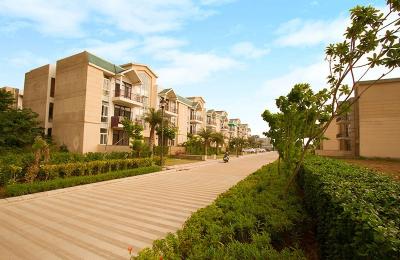 Omaxe Silver Birch New Chandigarh: 3 BHK & 4 BHK G+2 Independent Floors in Sector 83 Mullanpur