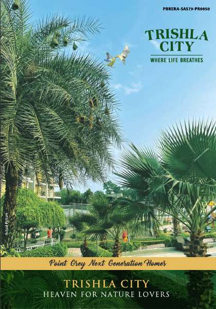 Trishla City Nabha Zirakpur brochure page 1