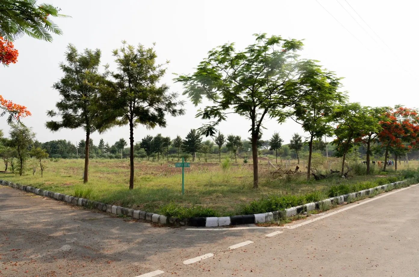 Idyllic Panchkula Eco City Sector 12 Panchkula | Eco-Friendly Residential Plots in Panchkula – amenities area