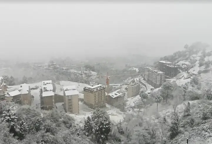 Chester Hills Kasauli, Solan – landscape