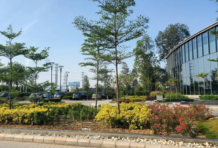 Signature Global Daxin Vistas