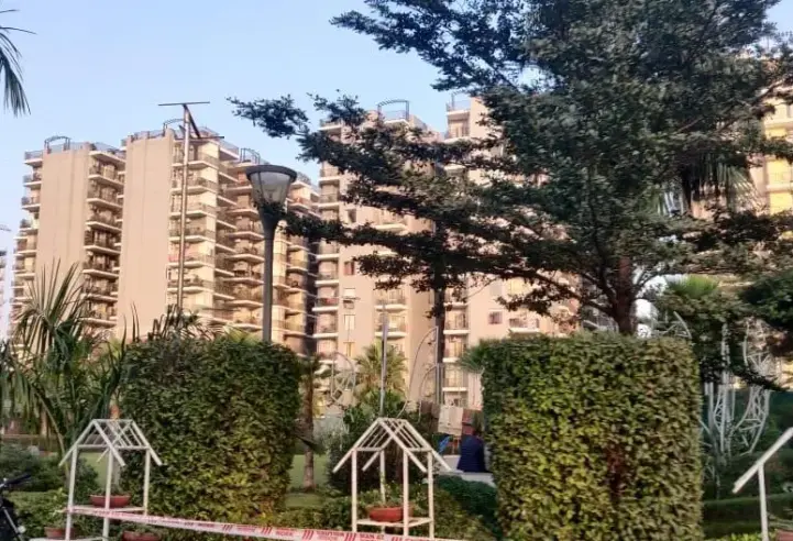 Trishla City