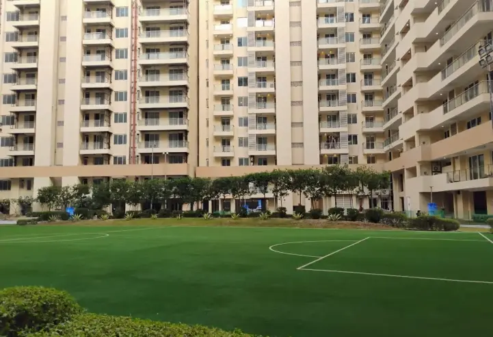 Ambience Creacions in Gurgaon – terrace