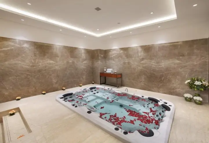 Ambience Creacions Sector 22, Gurgaon – lobby