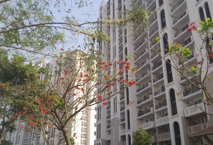 DLF New Town Heights 2, Sector 86