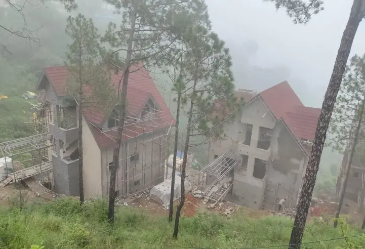 Dochi, Kasauli, H P