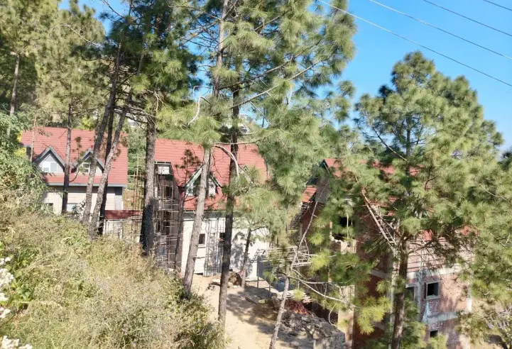 Dochi, Kasauli, H P