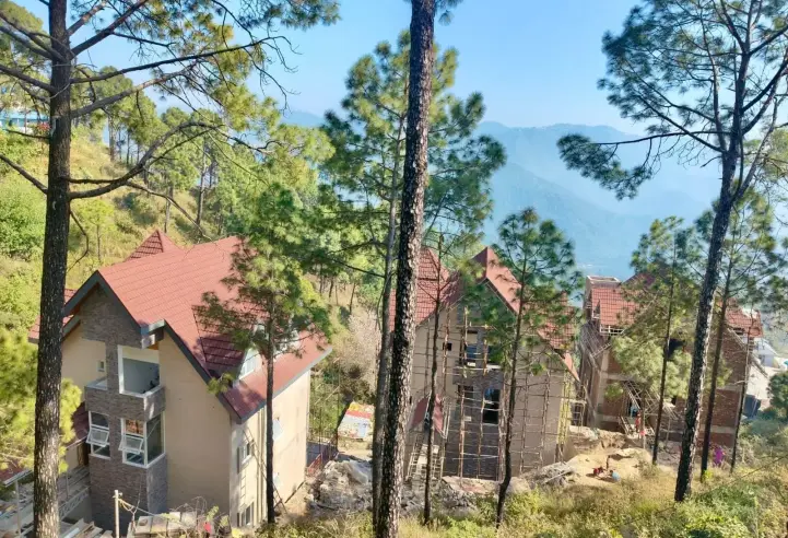 Dochi, Kasauli, H P