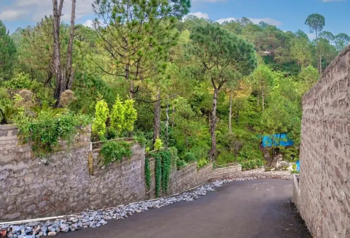 Hills Kasauli