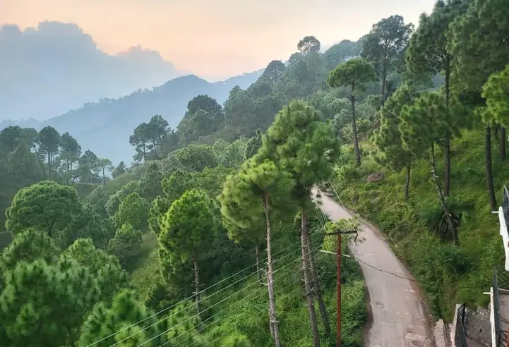 Kanda, Kasauli, H P