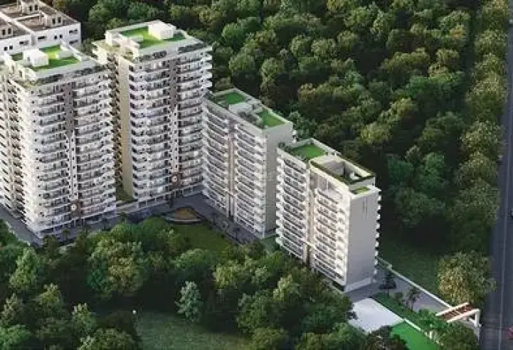 Northview Homez in Chandigarh – terrace