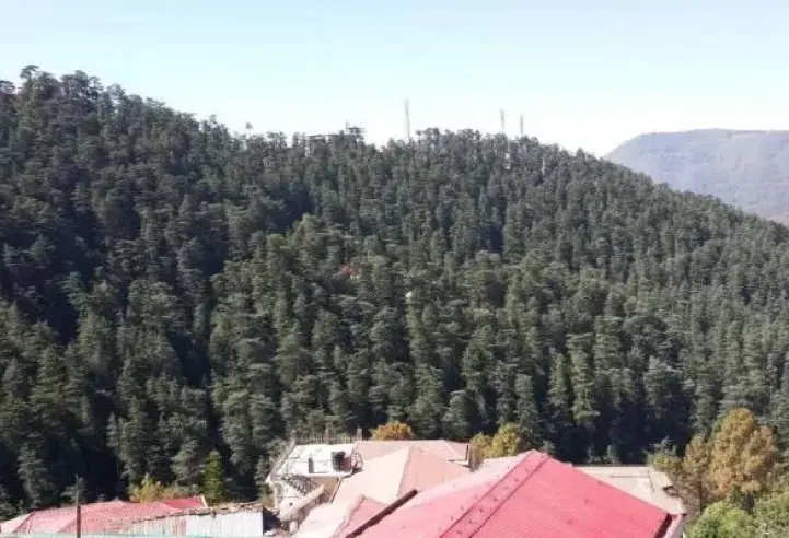 Bharari, Shimla, H P