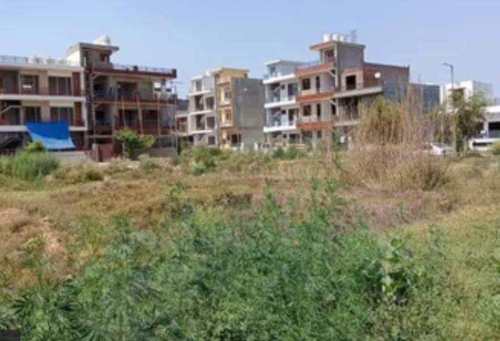 Residential Plot in Sector 79, Mohali