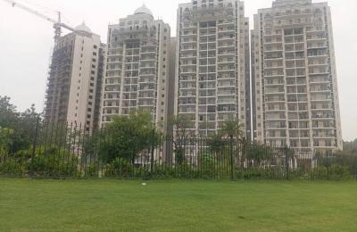 Omaxe The Resort Chandigarh