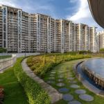 JLPL Falcon View