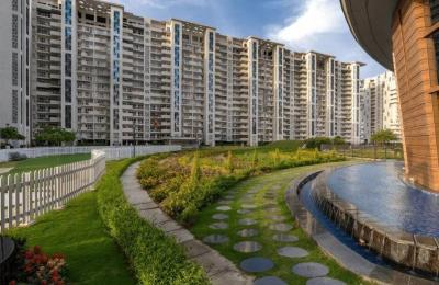 JLPL Falcon View