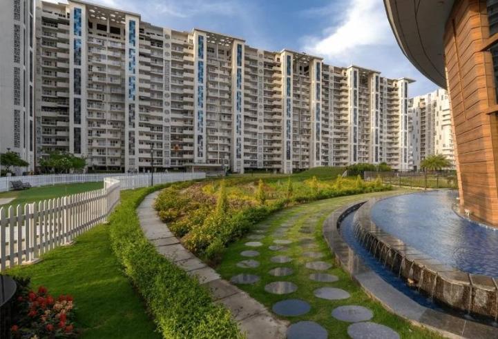 JLPL Falcon View