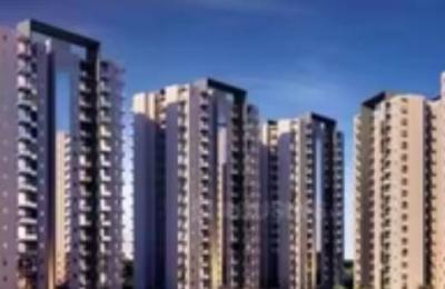 3 BHK Apartment in Sector 117