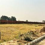 plot in lalru