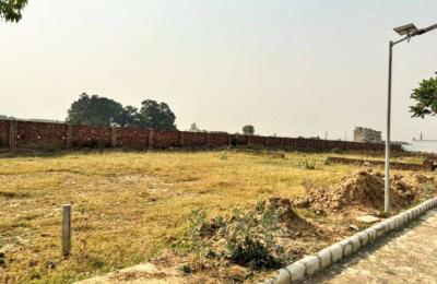 plot in lalru