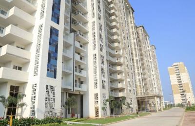 JLPL Falcon View
