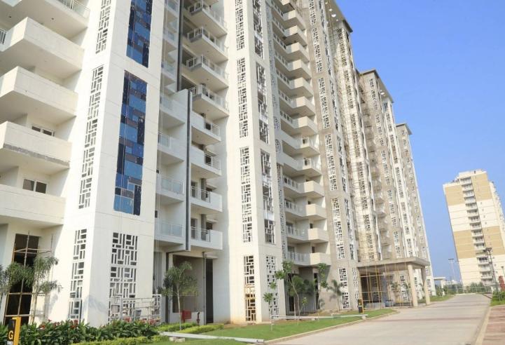 JLPL Falcon View