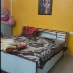 1 BHK Property in Baltana
