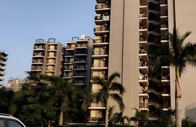 Trishla City -3, 4 BHK Apartment