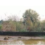 Residential Land / Plot for Sale in Ambala Cantt, Ambala