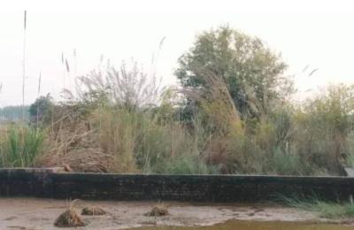 Residential Land / Plot for Sale in Ambala Cantt, Ambala