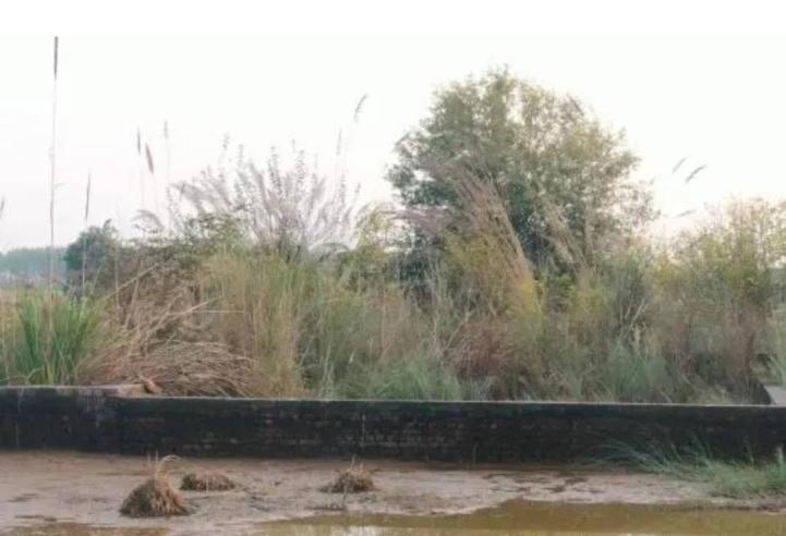 Residential Land / Plot for Sale in Ambala Cantt, Ambala