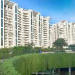 JLPL Falcon View