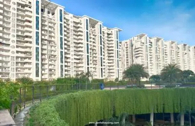 JLPL Falcon View