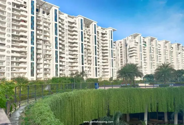JLPL Falcon View