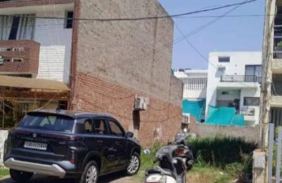 one karnal plot