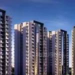 3 BHK Apartment in Sector 117