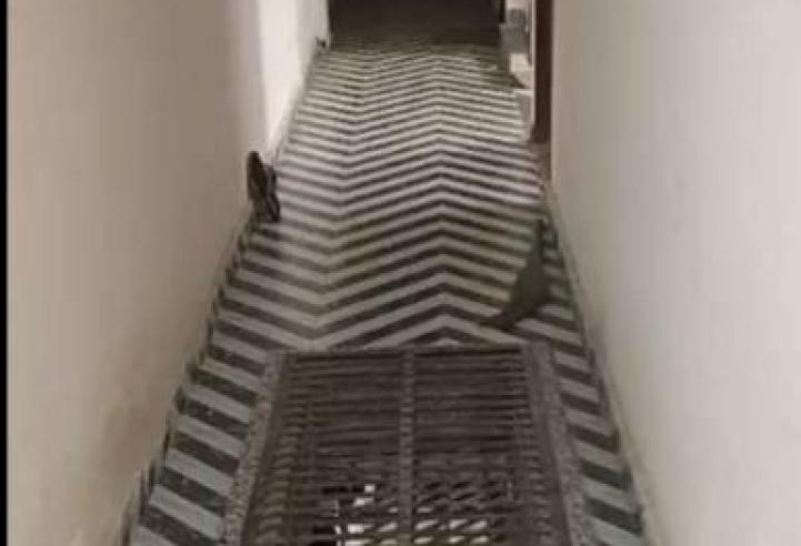1 bhk unfurnished