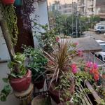 Sector 38 2room set, 2ac, 1st floor, 30k rent, fully furnished.