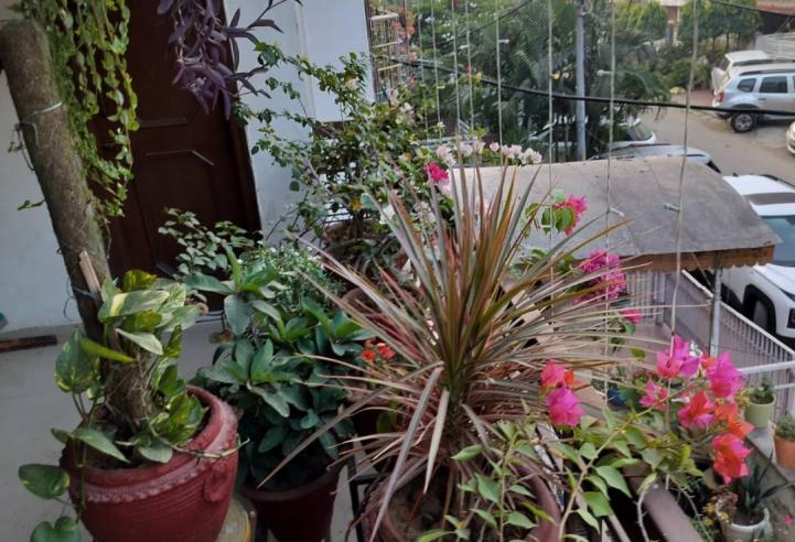 Sector 38 2room set, 2ac, 1st floor, 30k rent, fully furnished.
