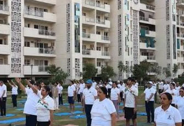 JLPL Falcon View