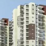 2 BHK Independent Builder Floor in Sector 115, Mohali