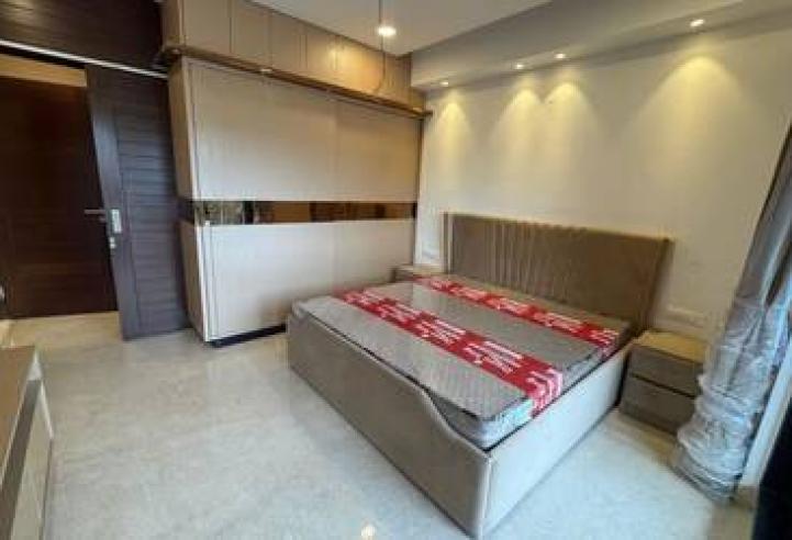 Luxury 3 BHK Builder Floor for Sale in Sector 8 Panchkula | 350 Sq. Yards Ready-to-Move Property