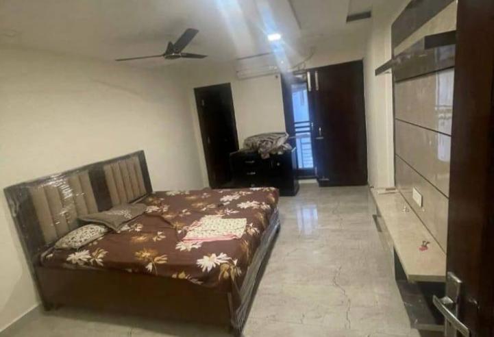 Spacious Independent RK in Sector 63, Mohali | Owner Free | Ready to Move