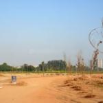 Residential Plot in Sector 116