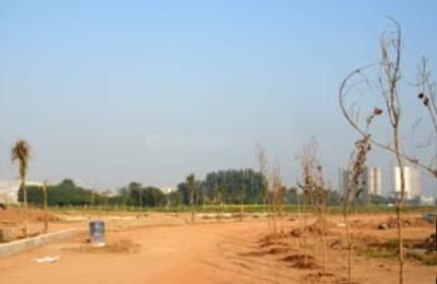 Residential Plot in Sector 116