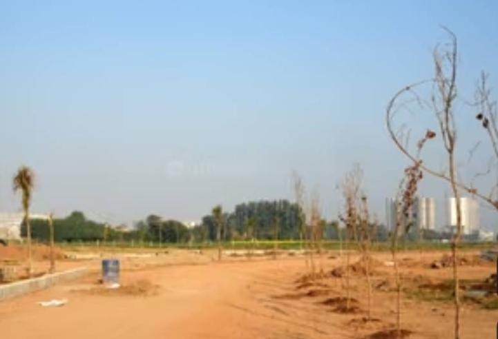 Residential Plot in Sector 116