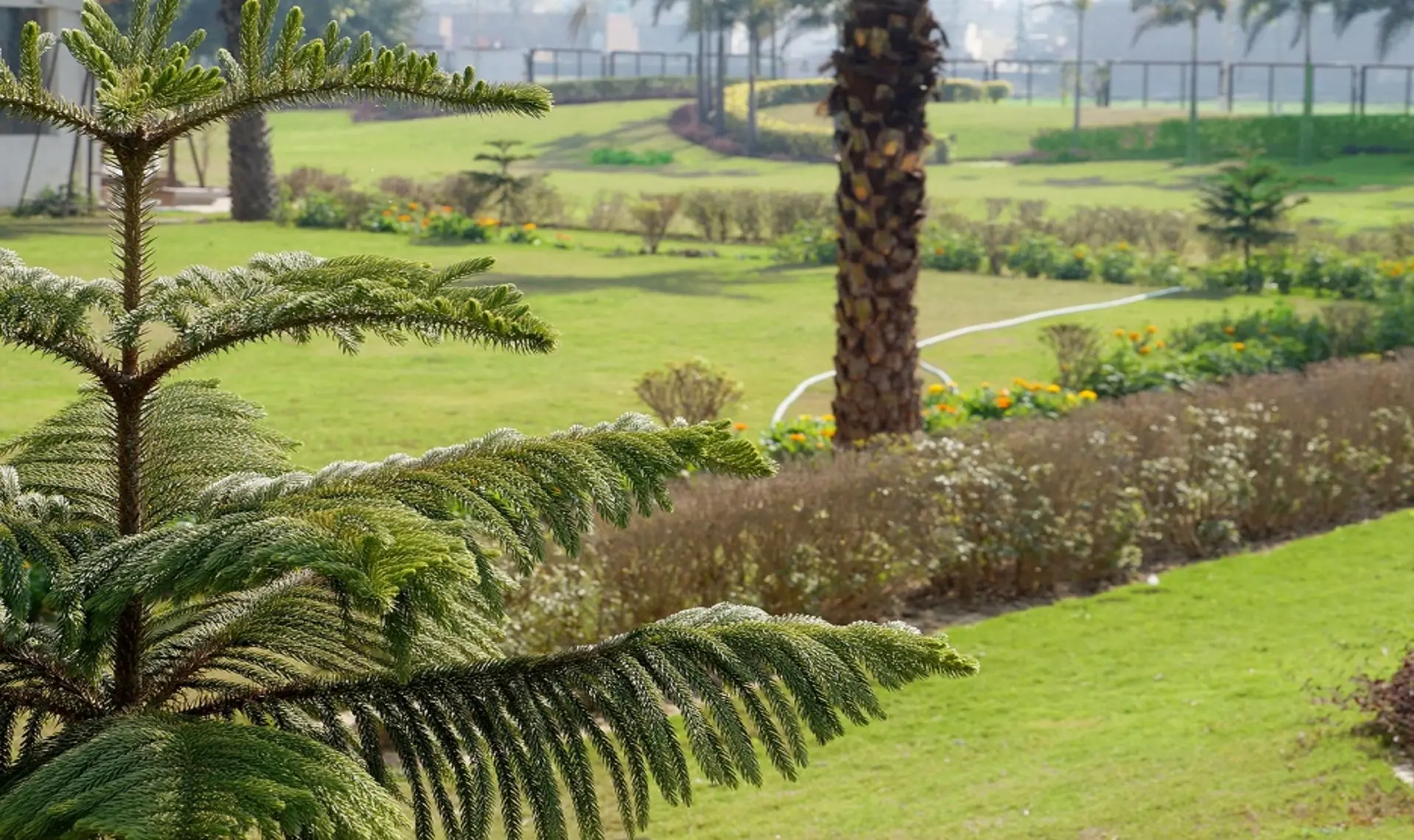 royale-gardens-zirakpur-homziio-1.webp