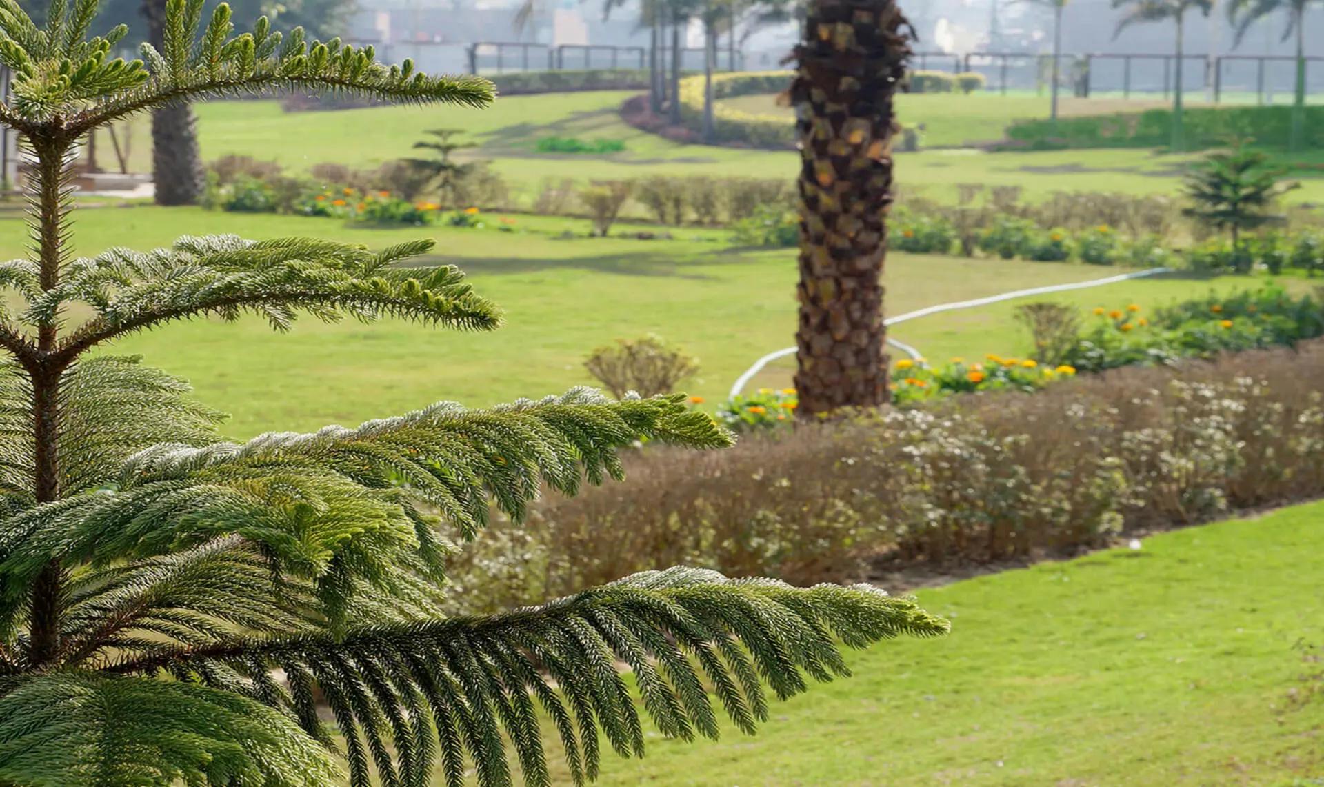 Royale Waterfront Zirakpur: Best Residential Projects in Zirakpur | Luxury Villas & Apartments Near Aerocity Mohali – common area