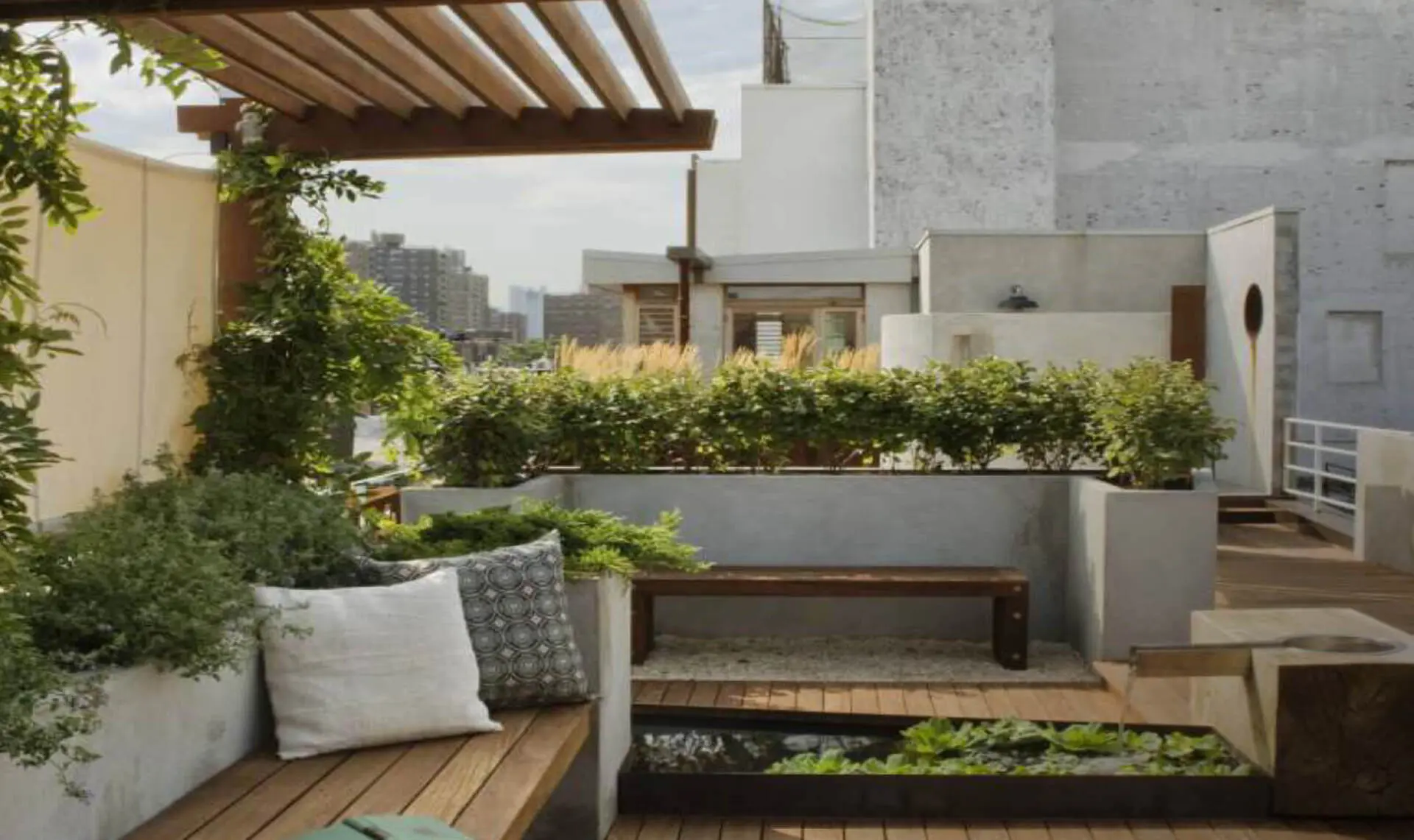 Royale Waterfront Zirakpur: Best Residential Projects in Zirakpur | Luxury Villas & Apartments Near Aerocity Mohali – clubhouse